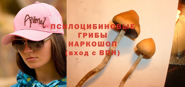 мескалин Абаза